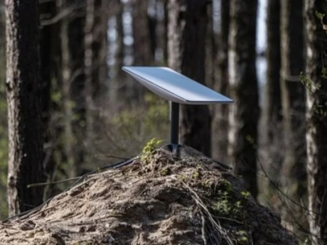 Польща дорікнула Маску після обмежень Starlink для України