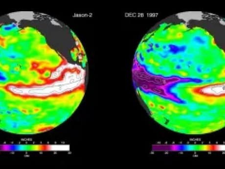 El Niño extiende un segundo brazo de agua cálida y eleva los riesgos