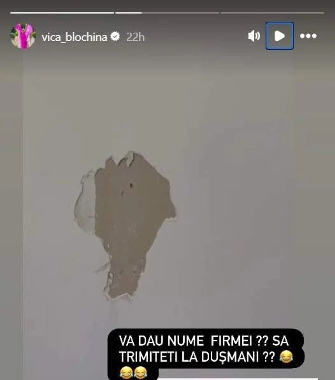 Vica Blochina acuză muncitorii că i-au luat banii în timpul renovării
