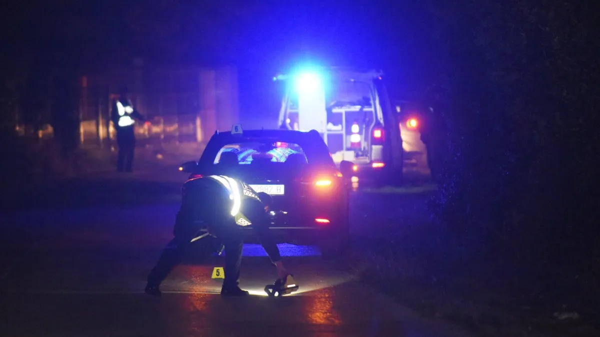 Pred svima pokazao spolovilo pa napao čovjeka: Poduzetnik (22) uhićen na Bundevijadi