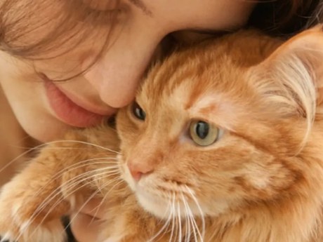 Po ztrátě mazlíčka se mohou vedle smutku objevit i úleva a výčitky