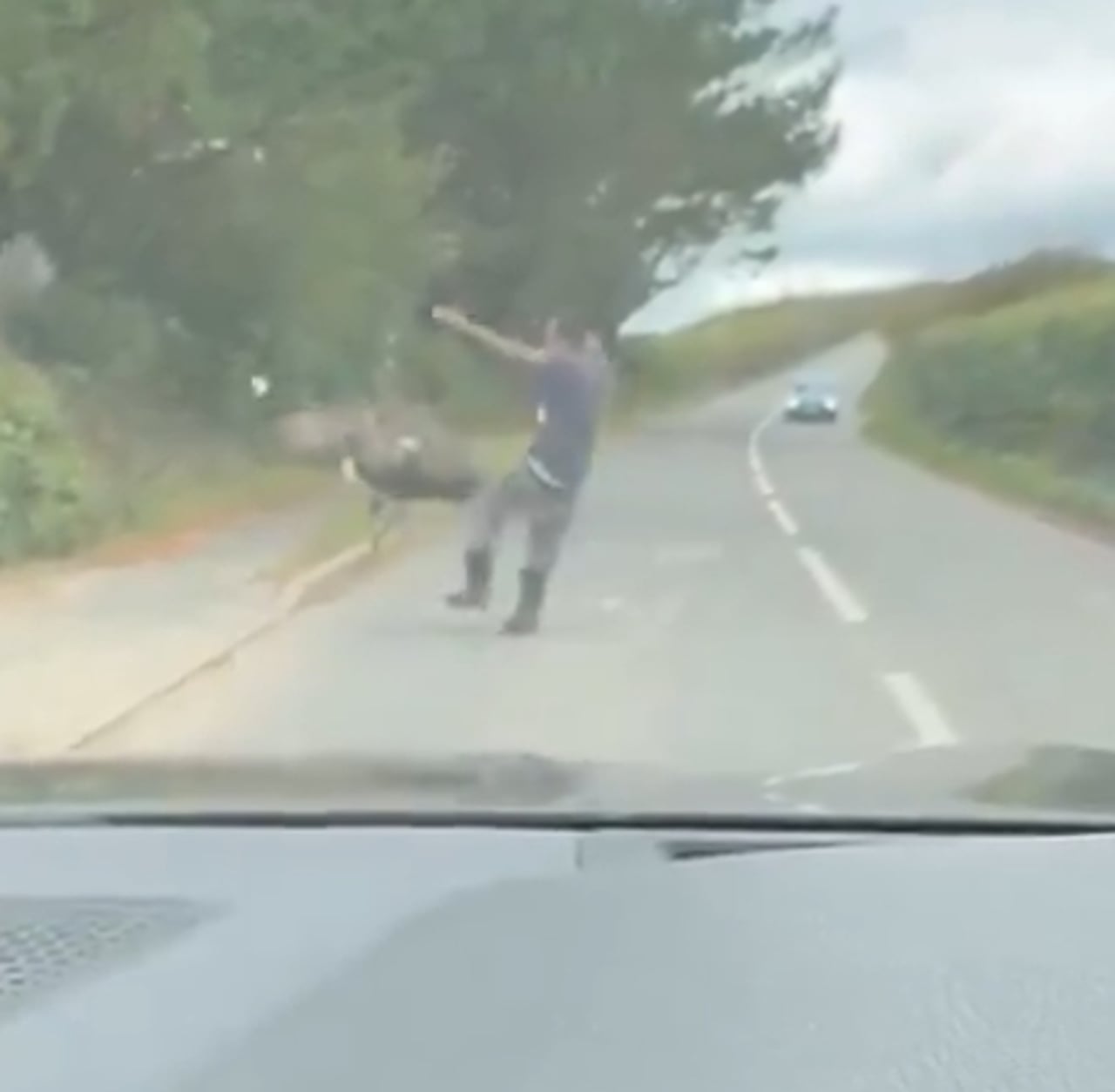 Utečený emu zrazil muža na ceste a znovu unikol z jeho rúk