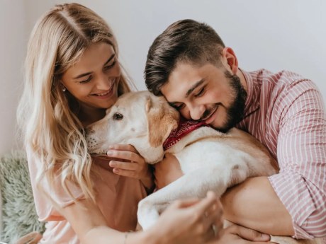Perros y personas comparten enfermedades cardiacas y algunos tratamientos