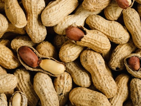 Un ensayo vincula cacahuetes diarios con la respuesta cerebral a la insulina