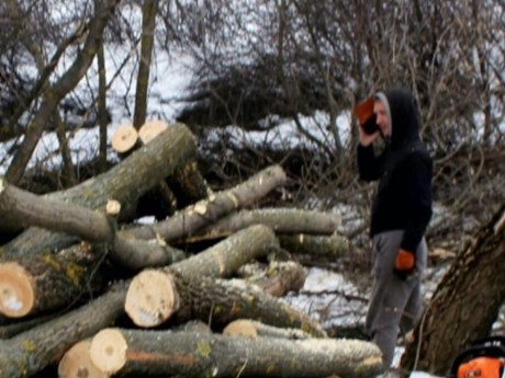 Дрова можуть сохнути до двох років: як зберігати їх правильно