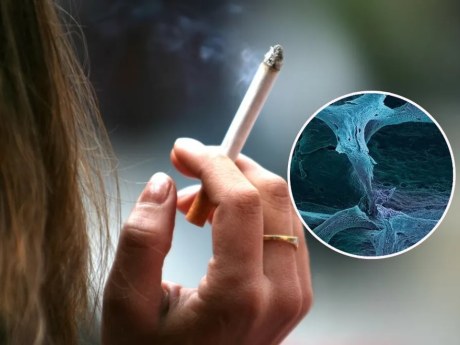 Kouření oslabuje kosti a zpomaluje jejich hojení po úrazech
