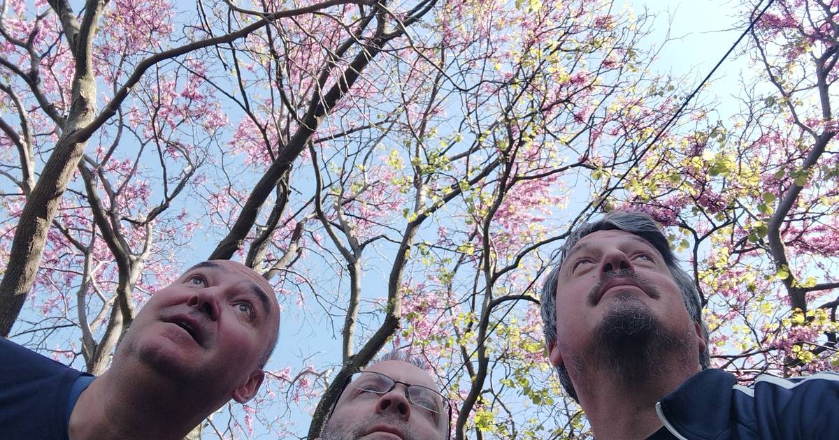 Toni Starešinić novim albumom udara na „suludo digitalno doba“: „Nadam se da će vas protresti“