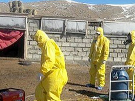 Смерть дослідниці в Іркутську: США вимагають чітких пояснень