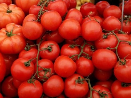 Salmonela v češnjevih paradižnikih: pošiljke dosegle Slovenijo