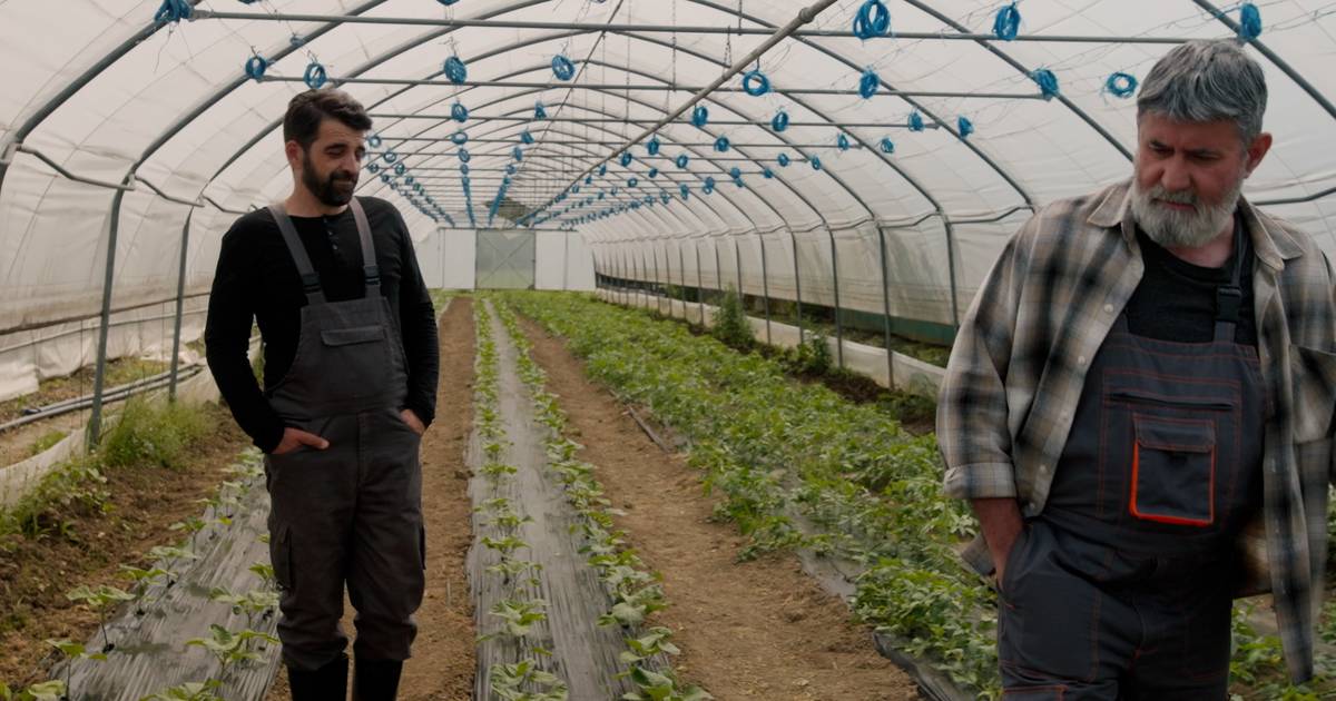 Vinko Vesni otkriva Aljošinu tajnu, a Mirjana strepi zbog krvave košulje Grabovca