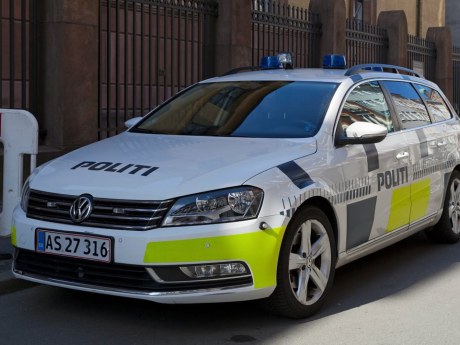 Dänemark gibt drei Hunde zurück – Halterin soll 27.000 Euro zahlen